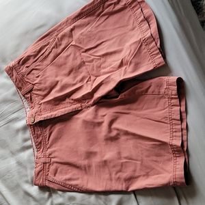 Izod Saltwater Shorts